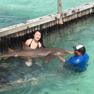 Meet your Posher, Minnie